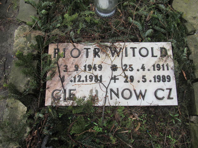 Piotr Ciechanowicz 1949 Katowice ewangelicki - Grobonet - Wyszukiwarka osób pochowanych