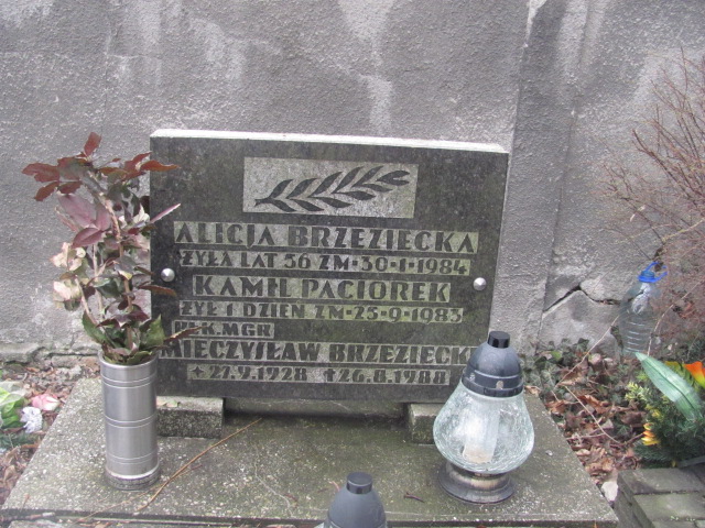 Alicja Brzeziecka 1928 Katowice ewangelicki - Grobonet - Wyszukiwarka osób pochowanych