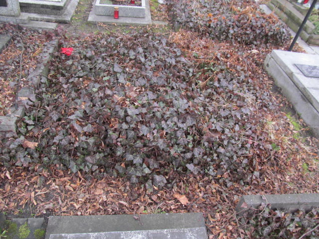 Maks Bannowski Katowice ewangelicki - Grobonet - Wyszukiwarka osób pochowanych